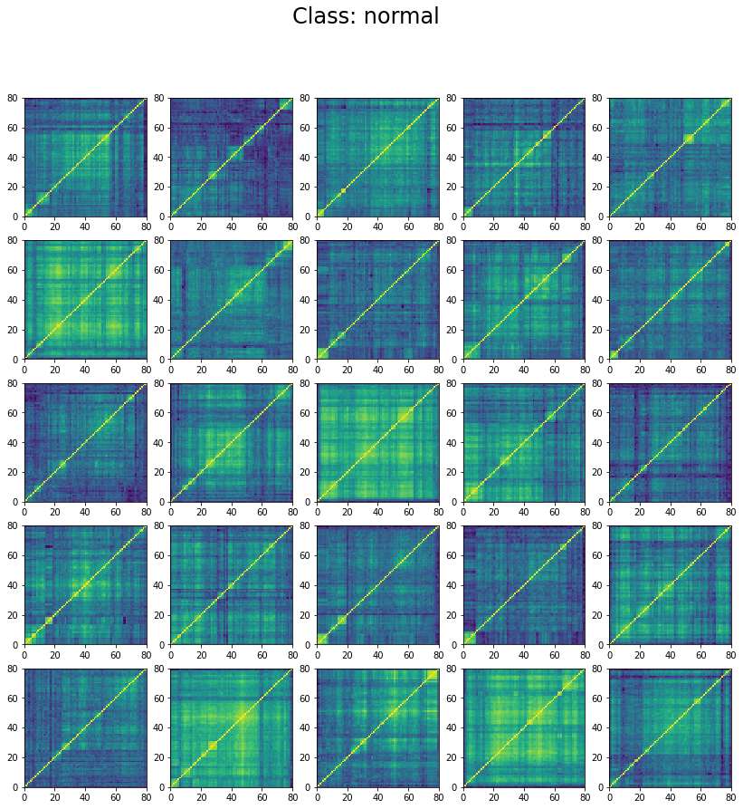 Examples of 'normal' correlations in the training set