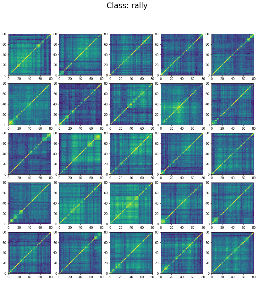 Examples of 'rally' correlations in the training set